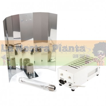 KIT MAGNETO PLATINUM 600W