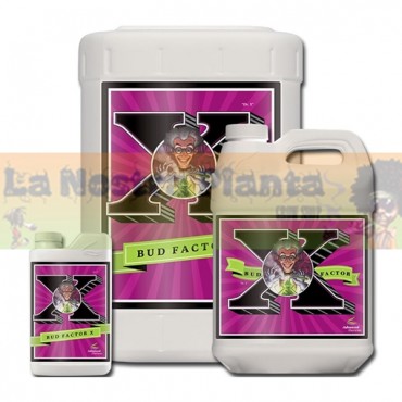 BUD FACTOR X ADVANCED...