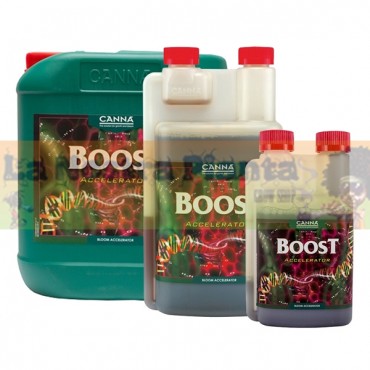 BOOST CANNA