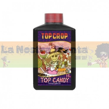 TOP CANDY TOP CROP