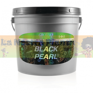 BLACK PEARL GROTEK