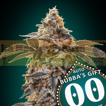 Auto Bubba's Gift