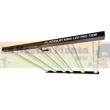 Led Platinum King Pro 720w...