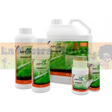 TopBooster Aptus