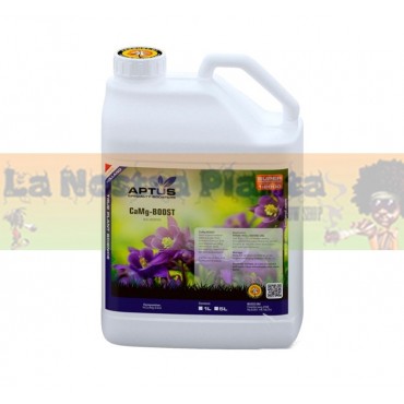 CaMg-Boost Aptus