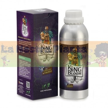 KING BLOOM TRABE