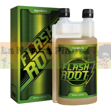 FLASH ROOTS AGROBETA