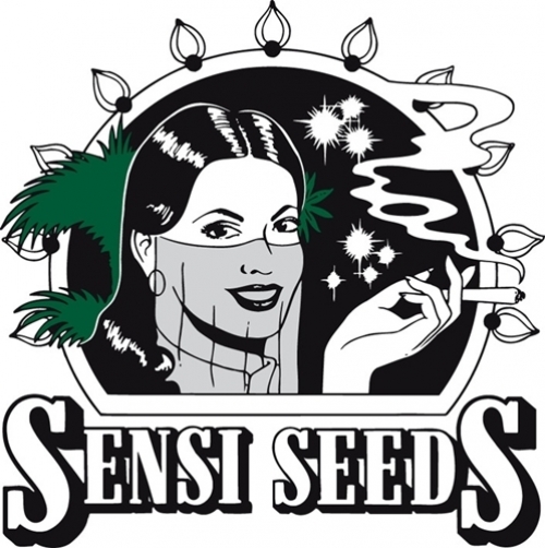 SEMILLAS REGULARES