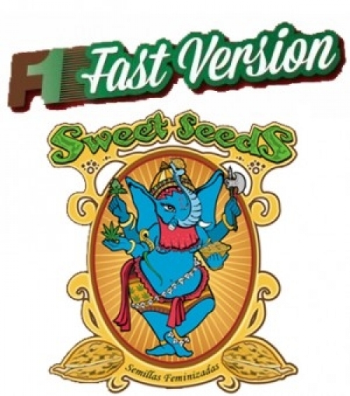 FAST VERSION
