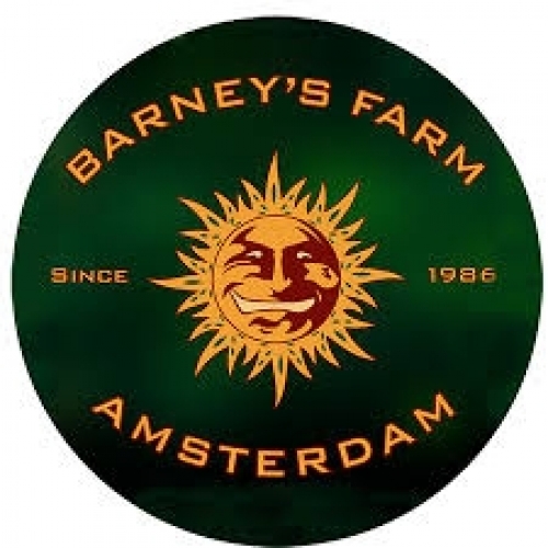 BARNEY'S FARM AUTOFLORACIÓN