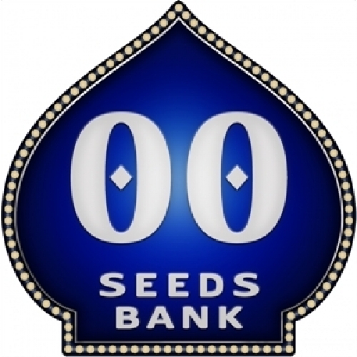 00 SEEDS BANK FEMINIZADAS