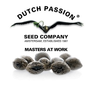 Dutch Passion