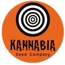 Kannabia