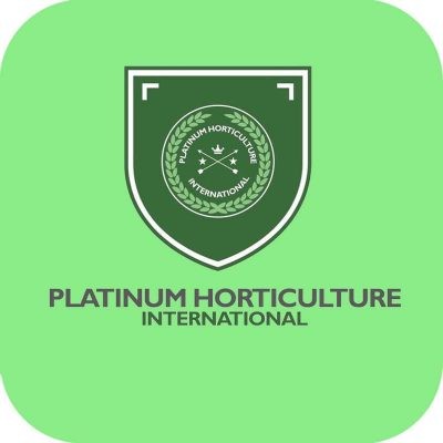 Platinum