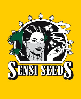 Semillas Feminizadas y Autoflorecientes de Marihuana
